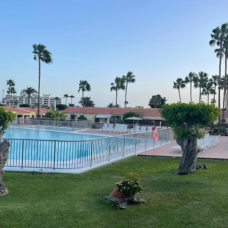 Paraiso 84
